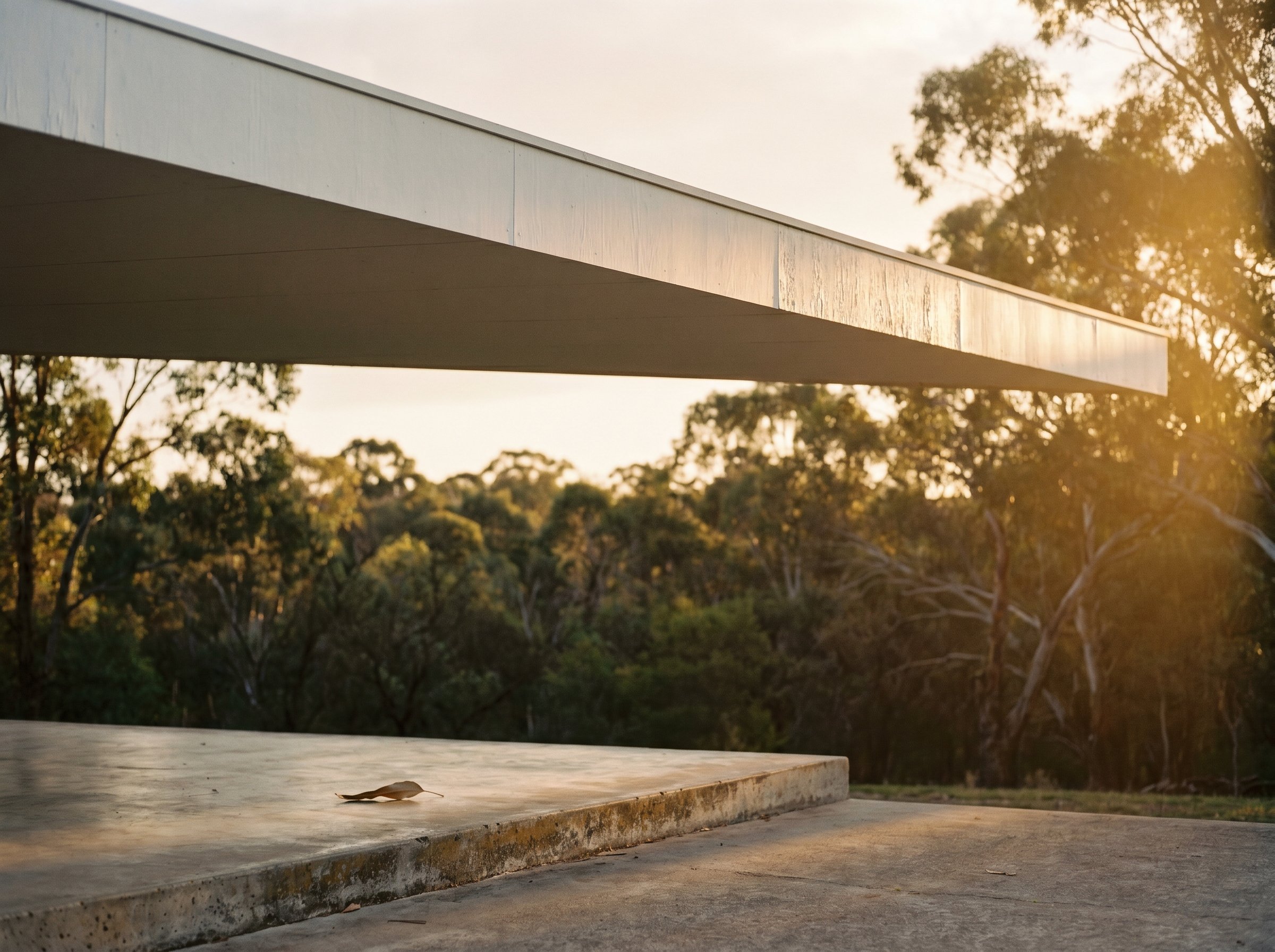2026-05-26-heide-eave-line-bushland.jpg