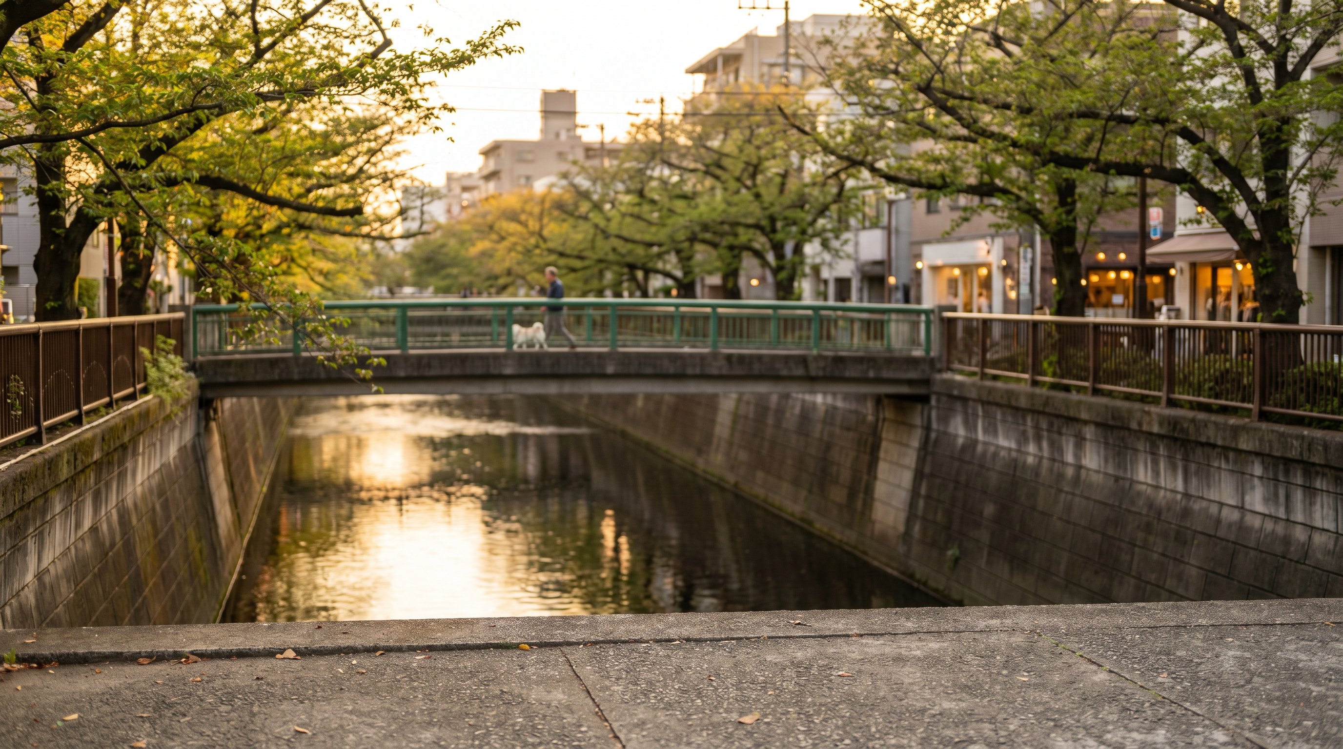Meguro-gawa bridge at 18:05, a man and a small white dog, the light going